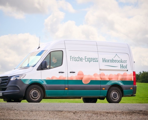 Weißer Lieferwagen mit Eiern und grünem Streifen unten