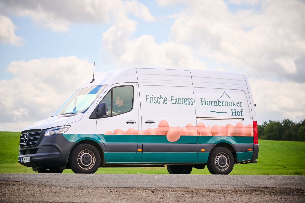 Weißer Lieferwagen mit Eiern und grünem Streifen unten