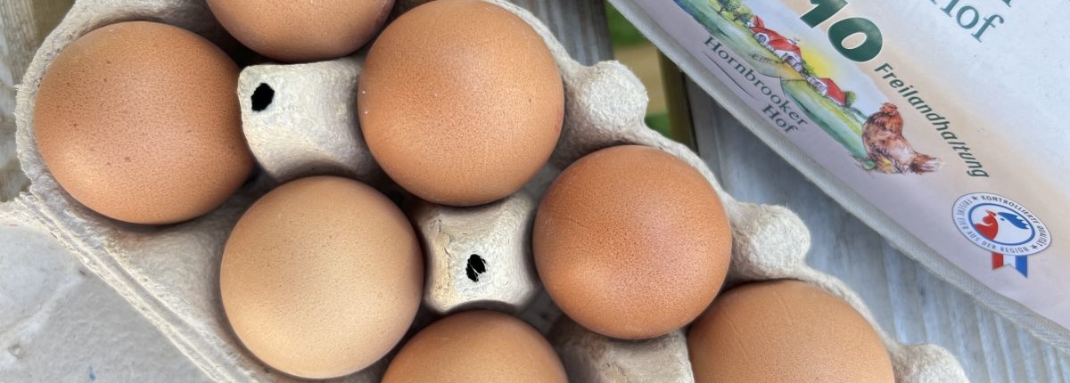 Geöffnete Eierverpackung mit zehn Eiern