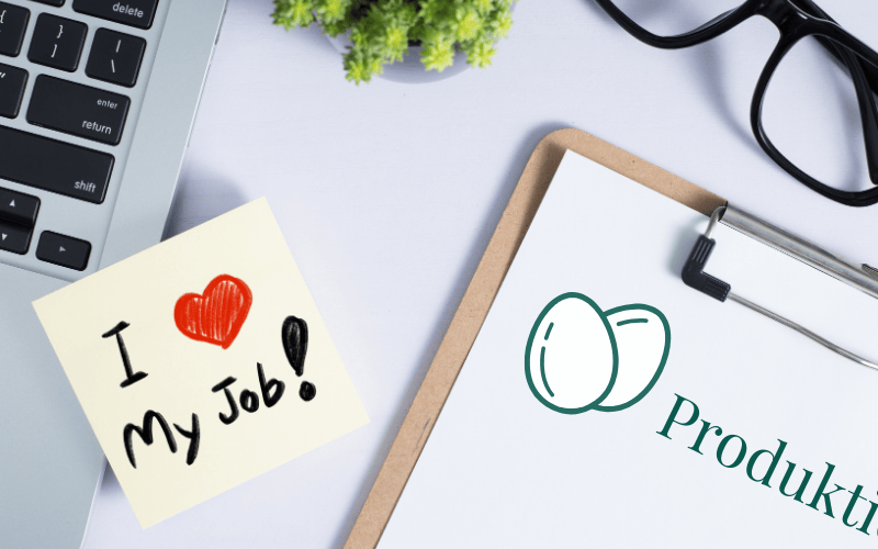 2026-02-23_Beitrag_Kfm. Koordinatorin_Webseite